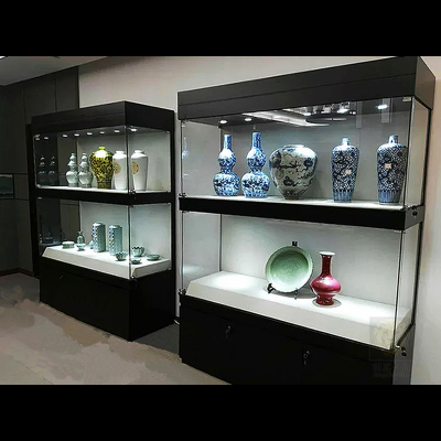 museum display cabinet7